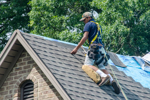 Best New Roof Installation  in Verona Walk, FL